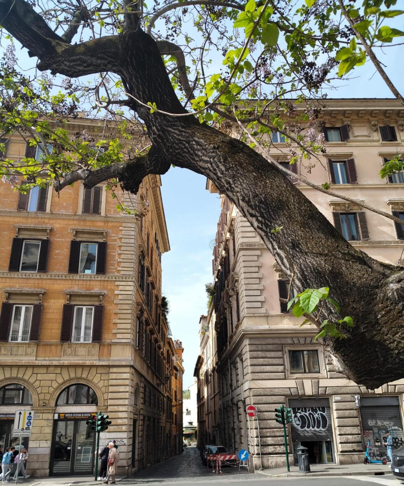 Vatican Near Sweet Home Terrace Rome Luaran gambar